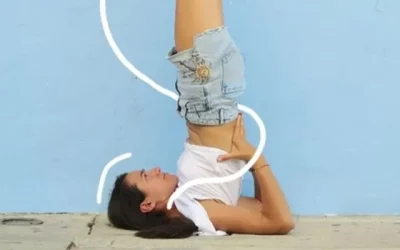 5ème chakra, Vishuddha (chakra de la gorge) 🙊