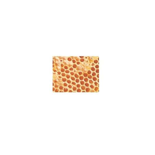 Tonn's Comb Honey