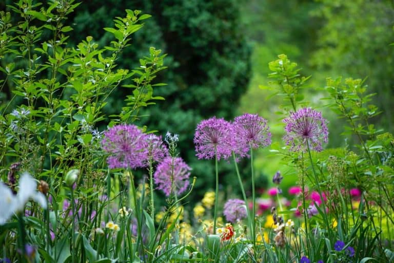 Gartenbau Neugestaltung