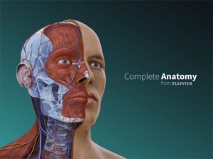  >thisisjustarandomplaceholder<Complete-Anatomy | Iberian Press® 