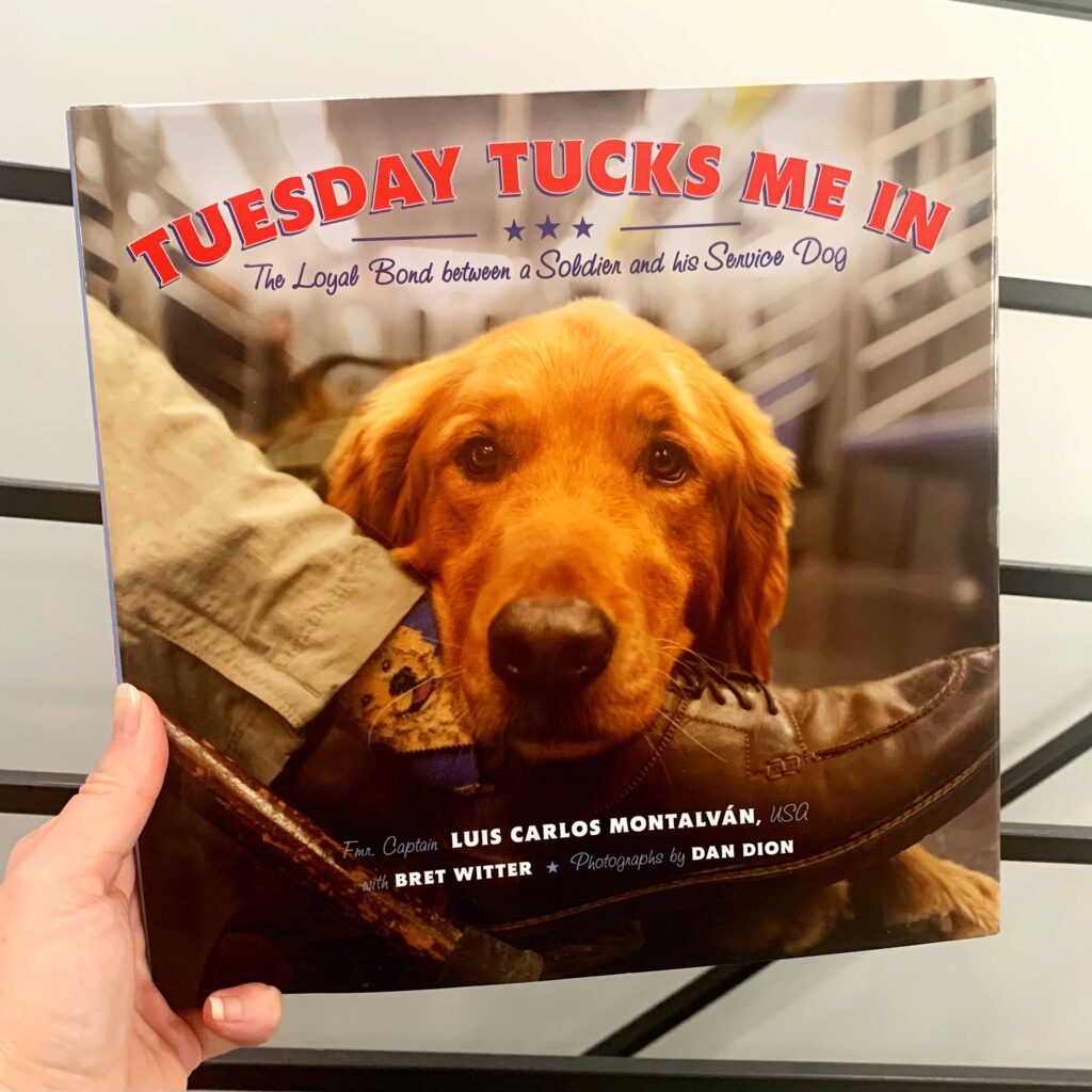 children's books for veterans day