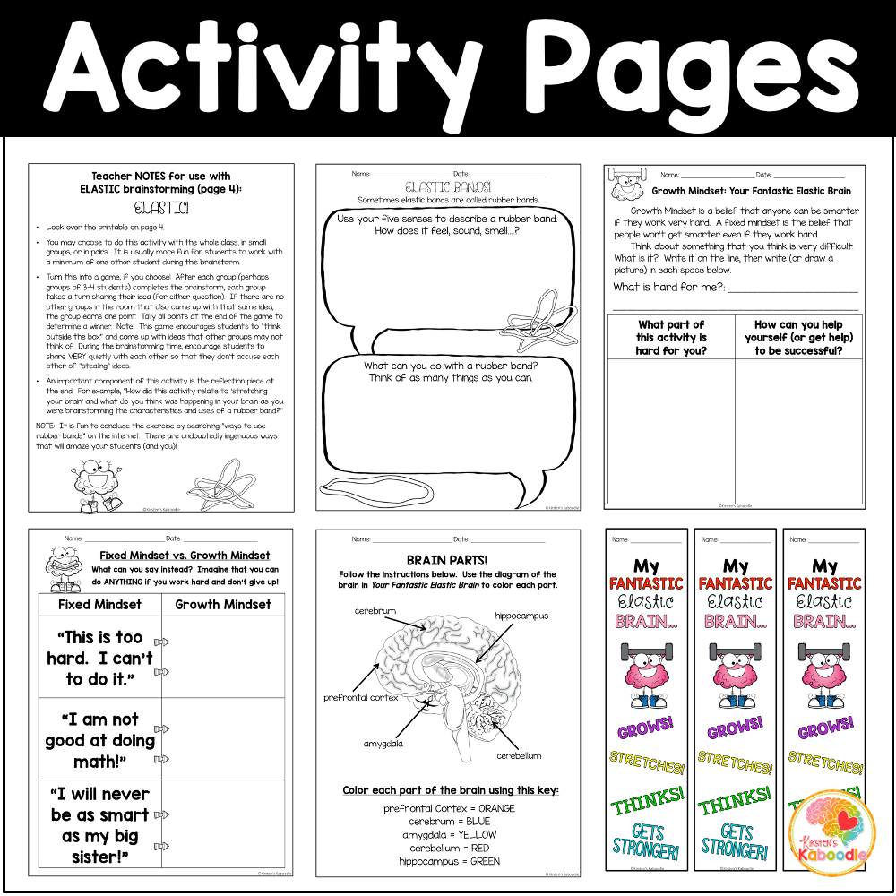 your-fantastic-elastic-brain-book-activities-second-grade