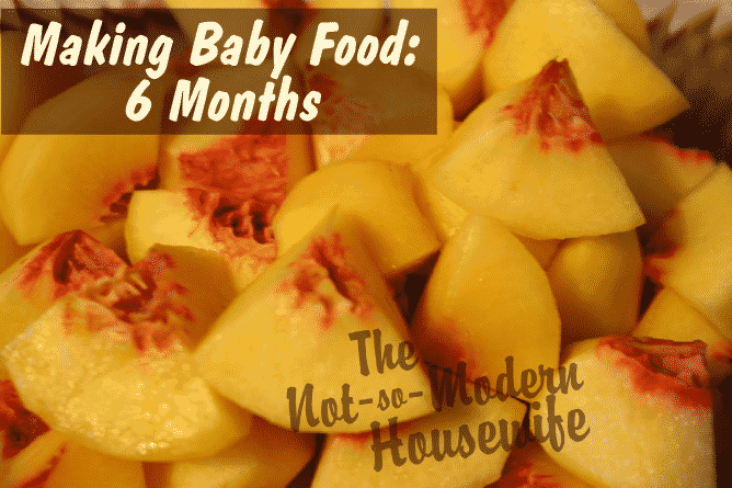 Making My Own Baby Food: 6 Months