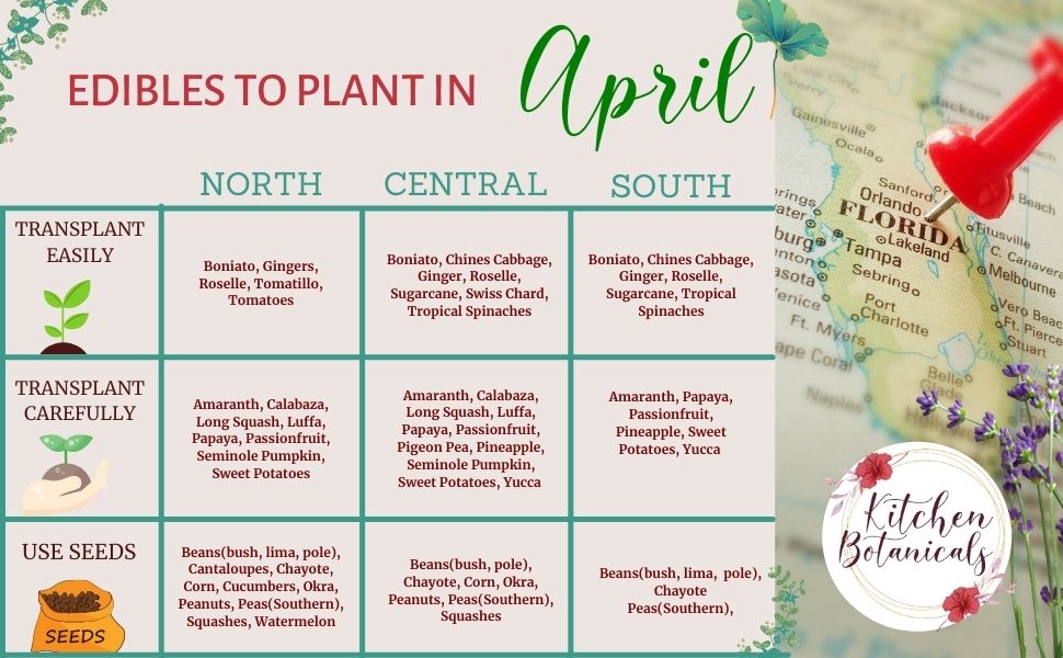 Expert Guide: What to Plant in April in Florida for Maximum Yield