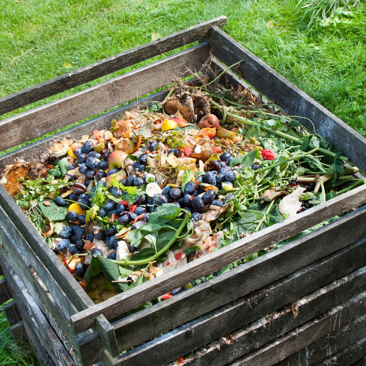 How to Compost: 6 Easy Steps to Create Your Own Compost Heap at Home