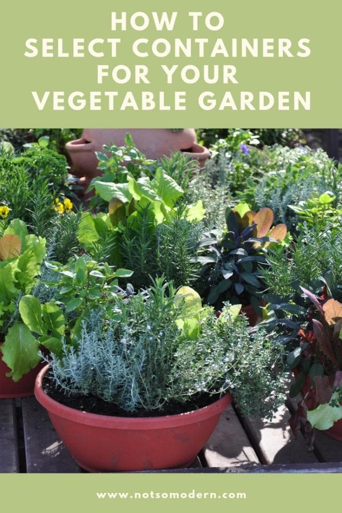 How to Select Containers for Your Vegetable Garden