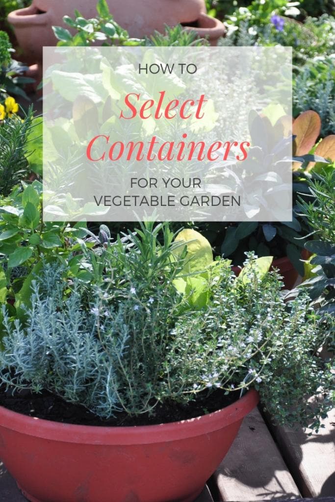 How to Select Containers for Your Vegetable Garden