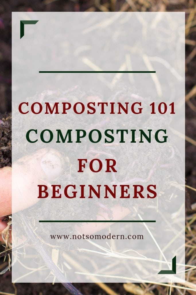 Composting 101 - Composting for Beginners