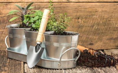 Create a Giftable Indoor Herb Garden Kit