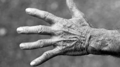 hand-featured