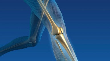 knee-featured