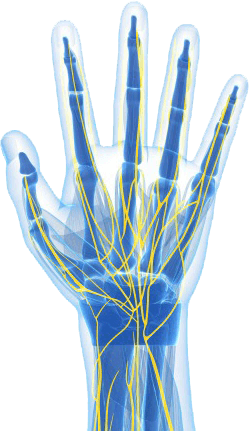 Nerve Center hand render