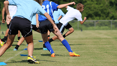 Reuss Hamstring Featured