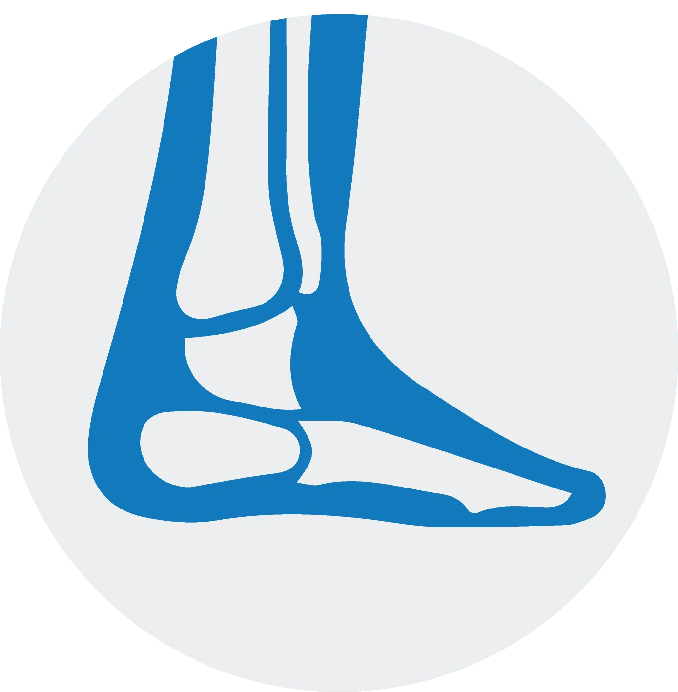 Foot & Ankle
