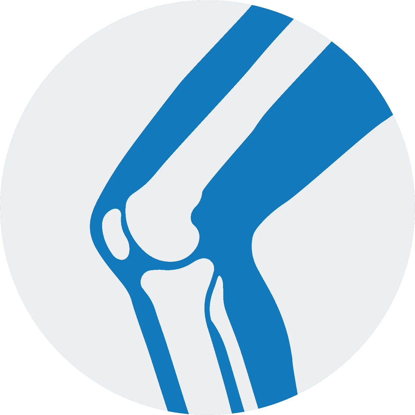 Knee