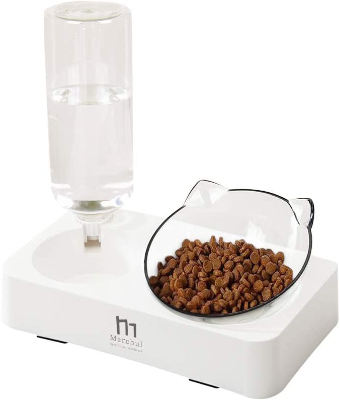 Cute cat bowl with waterer
