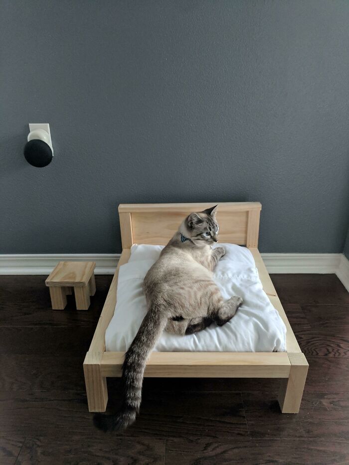 DIY cat bed