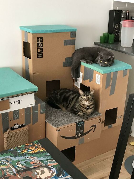 Cat house from cardboard boxes