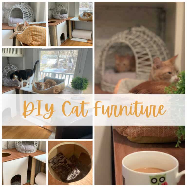 DIY cat furniture