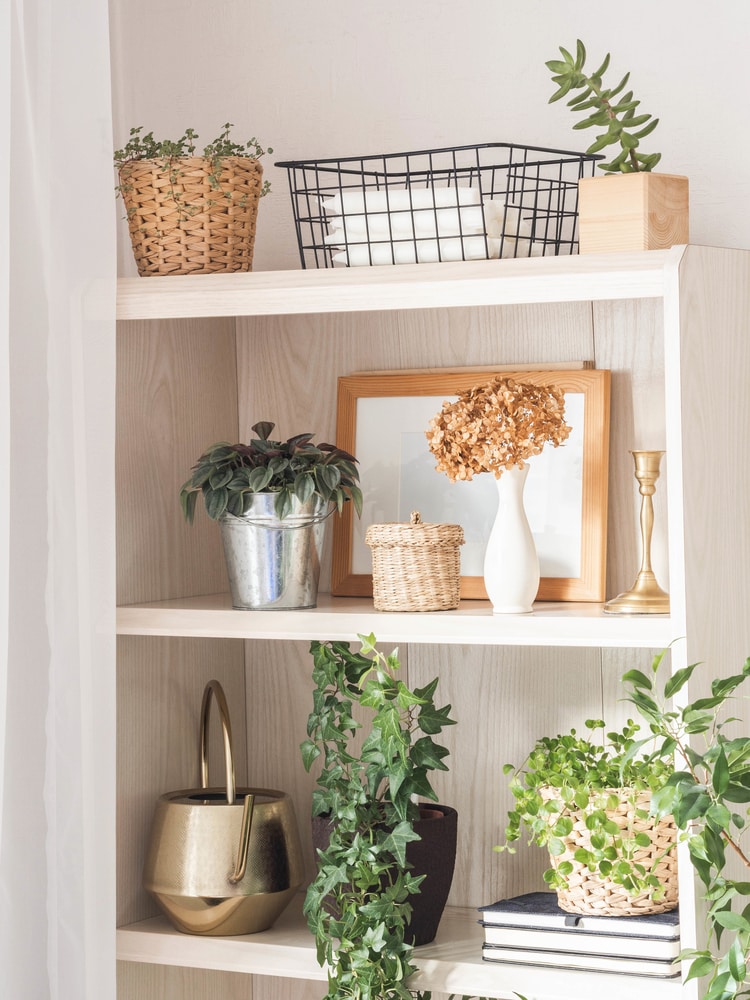 decorative shelf with books for raising accessories