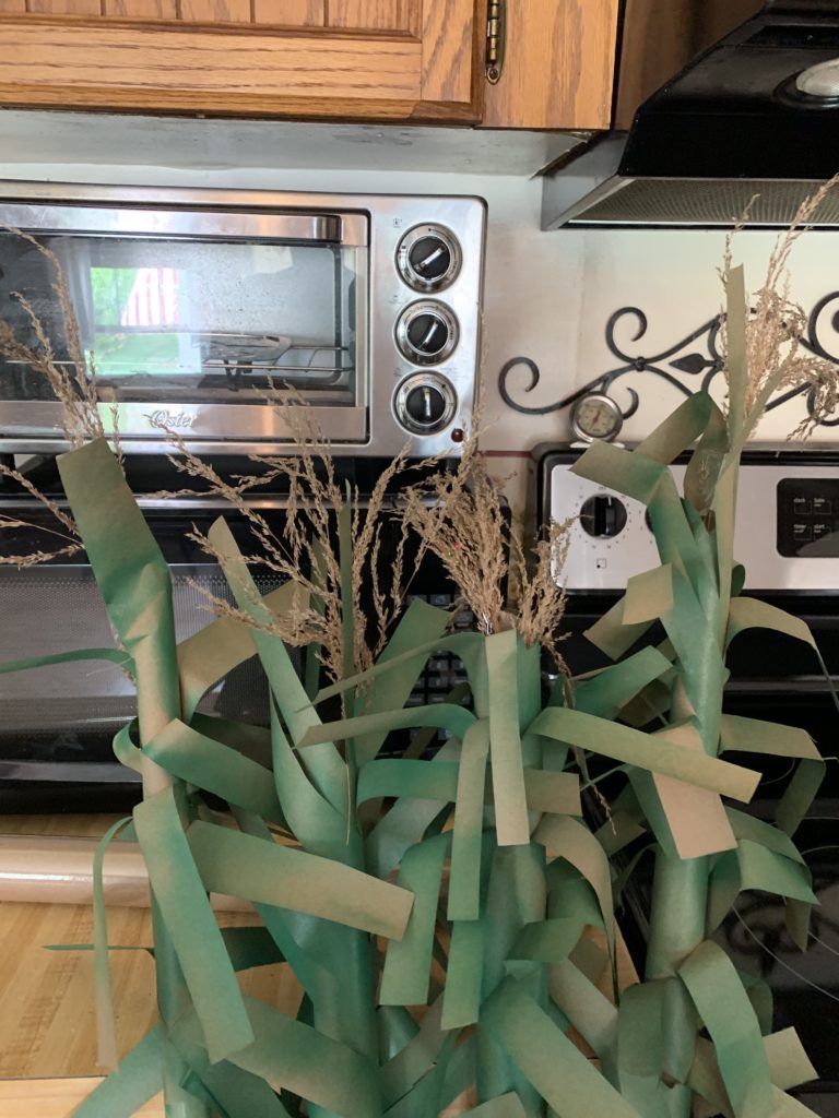halloween camping cornstalks