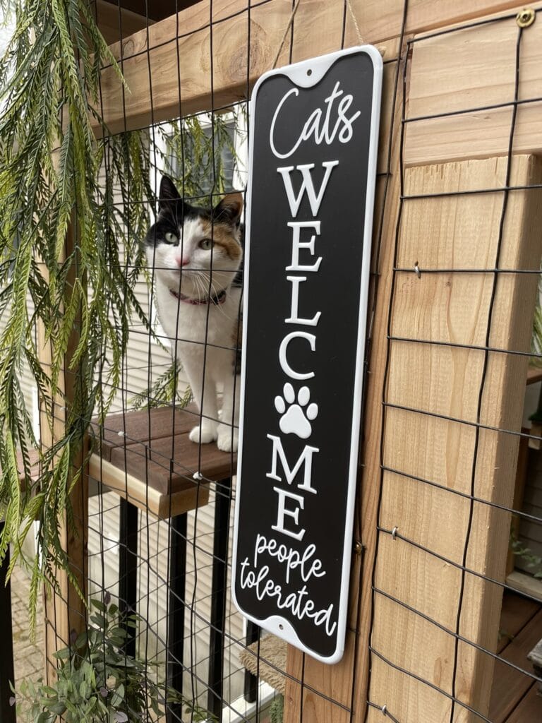 many DIY projects and ideas for your cats