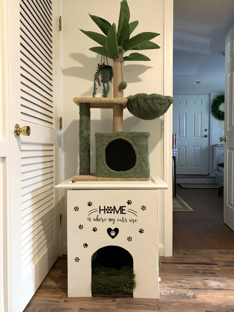 Cat room cat condo idea