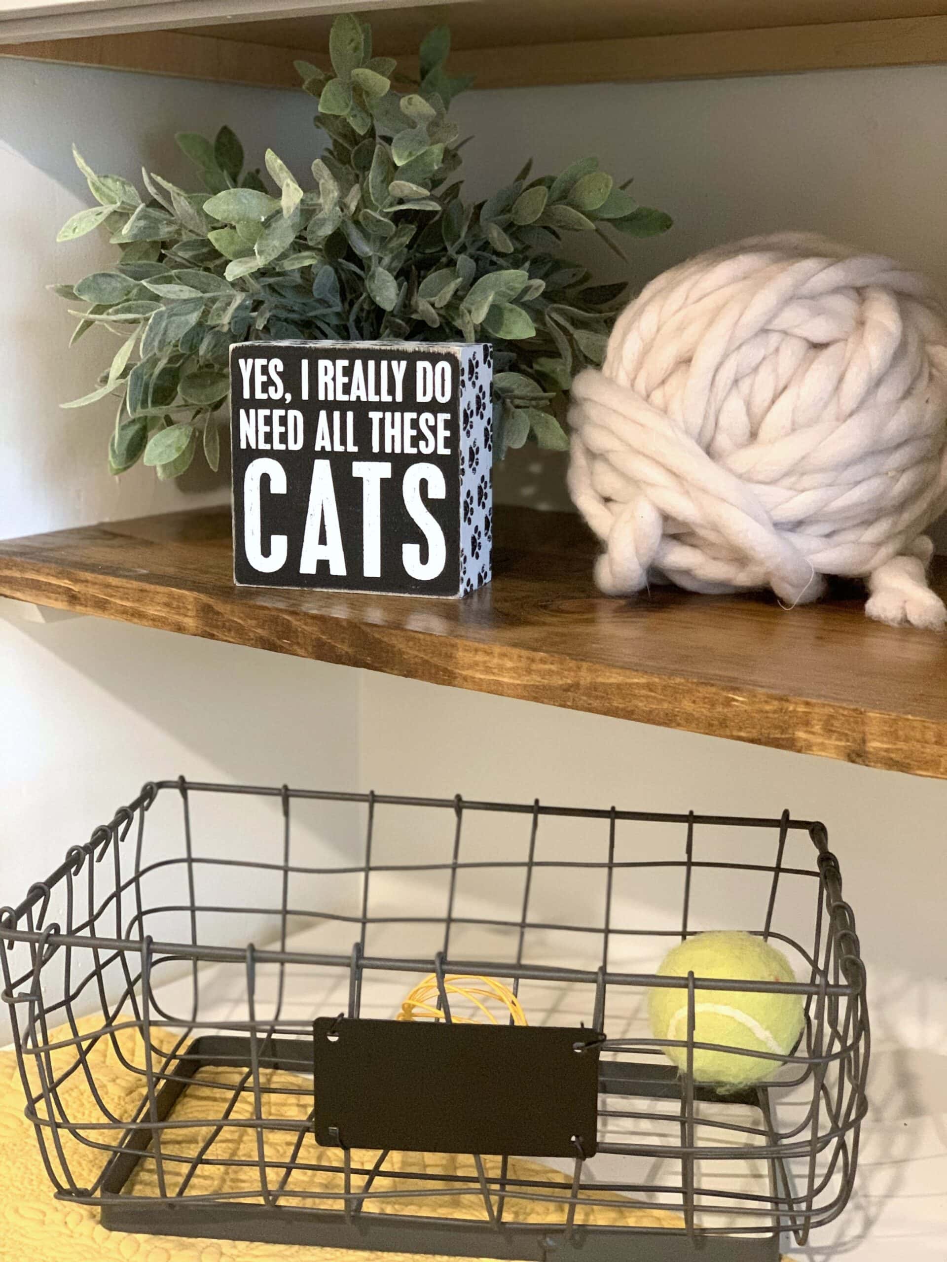 Cat room ideas accessories
