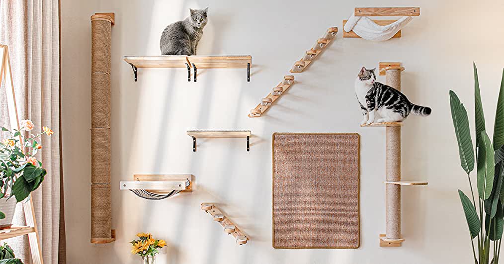 cat playground wall with shelves