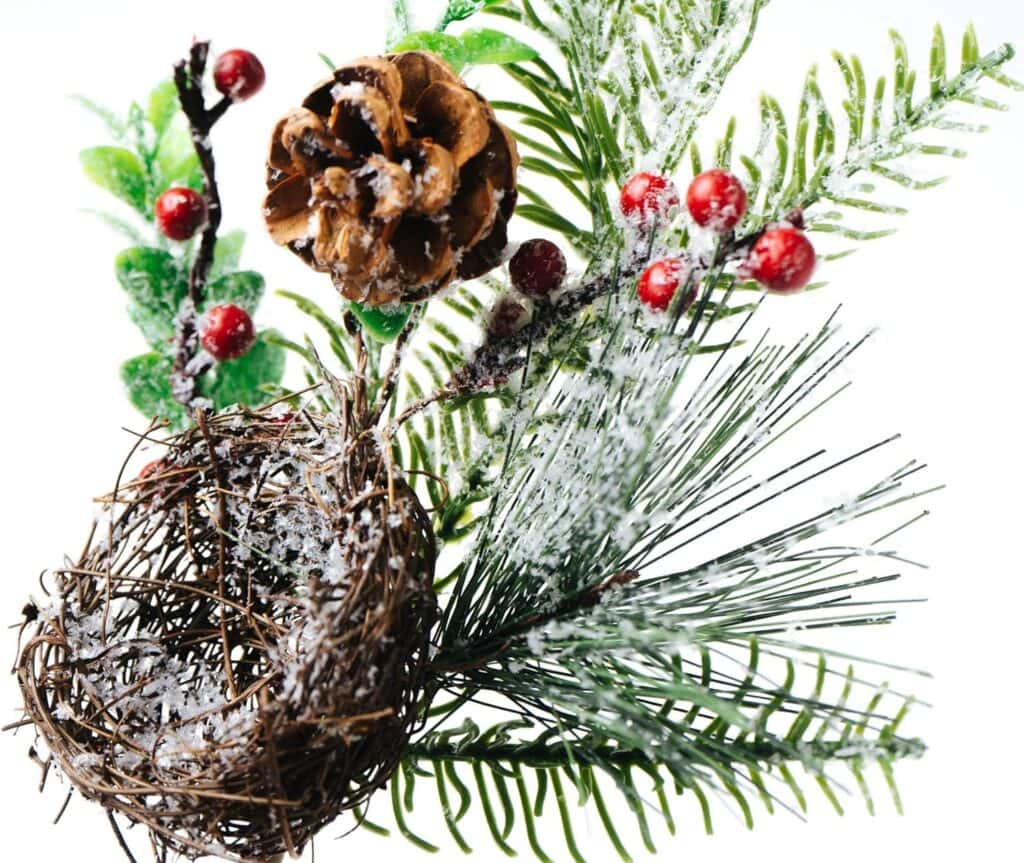 Picks for your tree