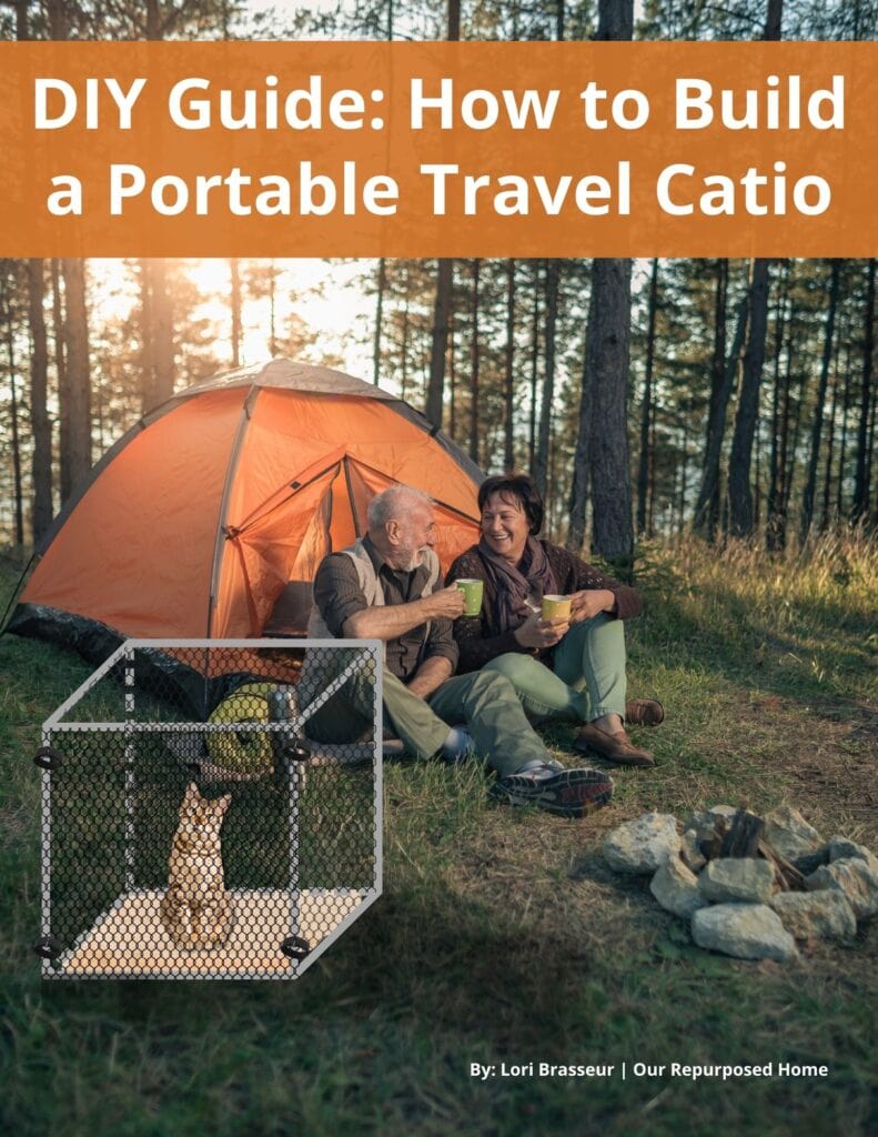 DIY catio idea for your cat