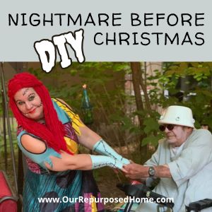 Nightmare Before Christmas Sally and Dr. Finklestien costumes