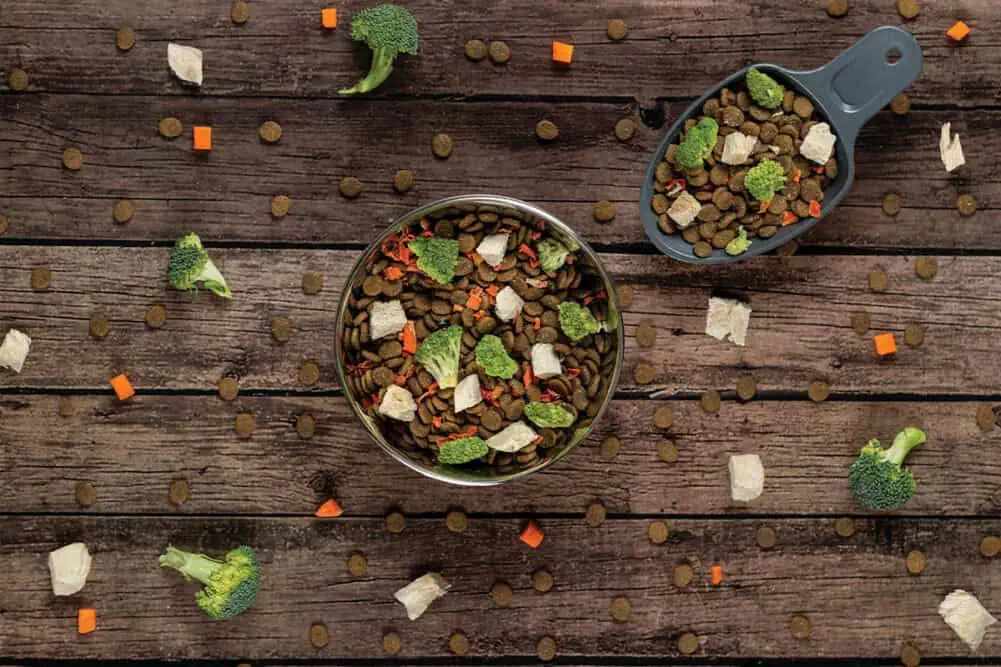 Canada Pet Food Ingredients Market Grows Rapidly Amid Rising Consumer Interest in Quality, Health, and Ethical Sourcing
