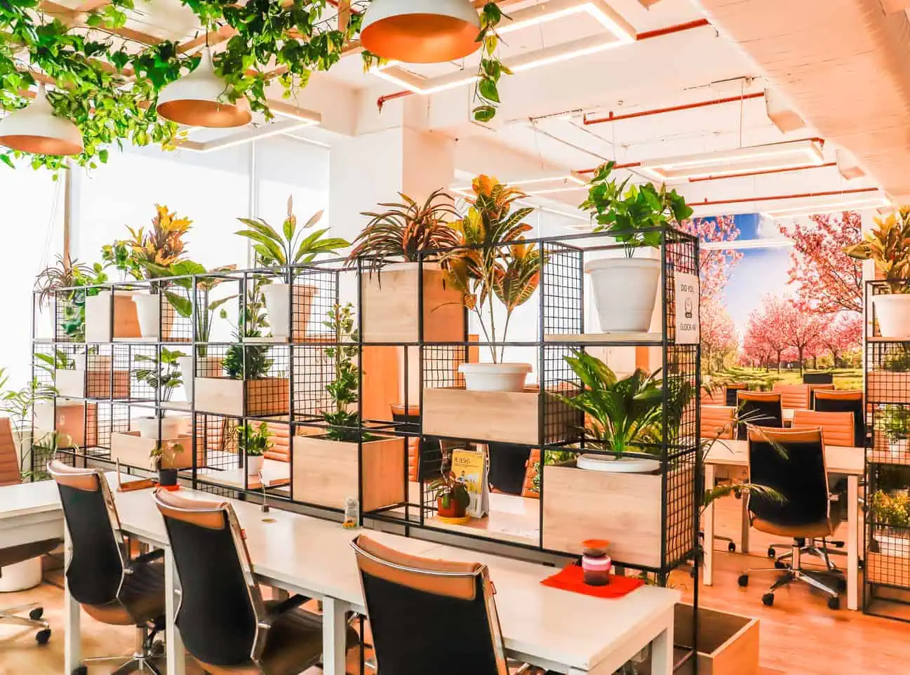 U.S. Co-Working Space Market Poised for Exponential Growth, Expected to Reach USD 7 Billion by 2030