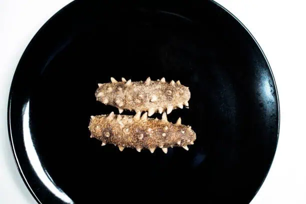 Japan Dried Sea-cucumber Market Dynamics: Regional Breakdown & Analysis