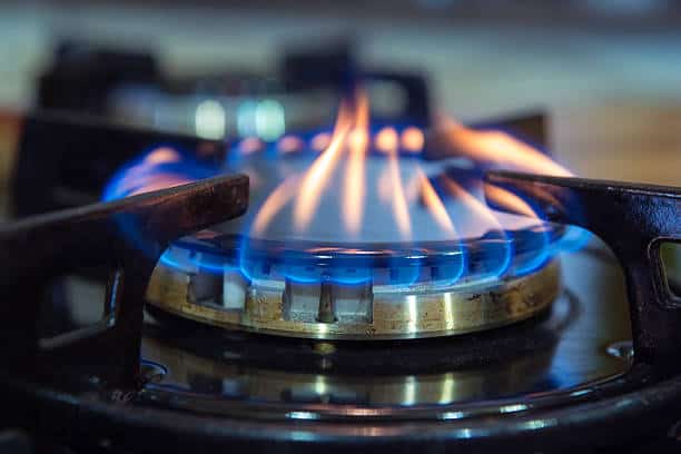 Japan Gas Stove Burner Market Strategies: Competitive Insights for Expansion
