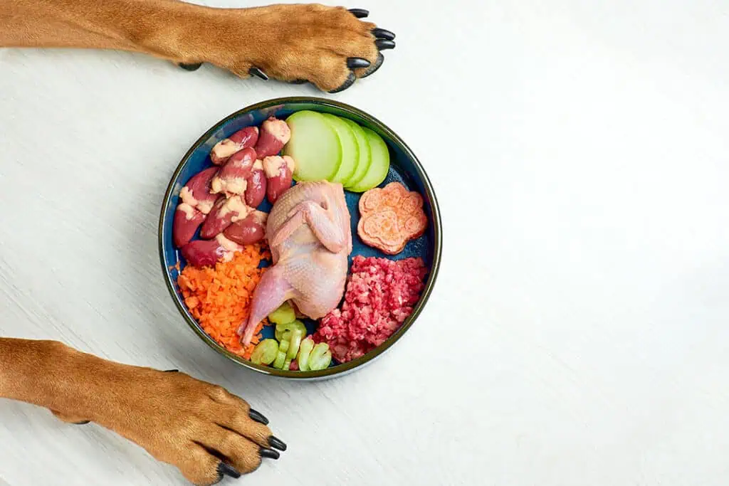 France Pet Food Ingredients Market Expands as Consumers Demand Higher-Quality, Functional, and Sustainable Pet Nutrition