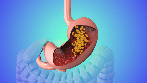 Digestion Resistant Maltodextrin Market Analysis: Trends, Opportunities, and Forecast