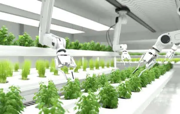 North America Food Robotics Market Dynamics: Regional Breakdown and Analysis