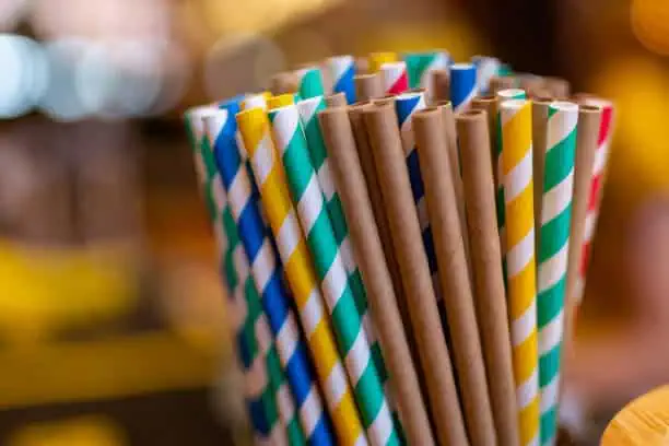 Paper Straw Market Report: Comprehensive Overview of Developments