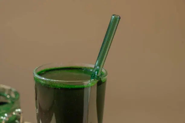 Algae Products Market Dynamics: Regional Breakdown and Analysis