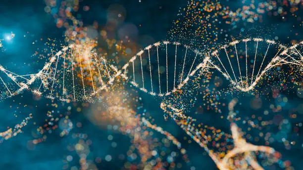 Singapore Precision Medicine Market Innovations: Trends and Strategic Opportunities