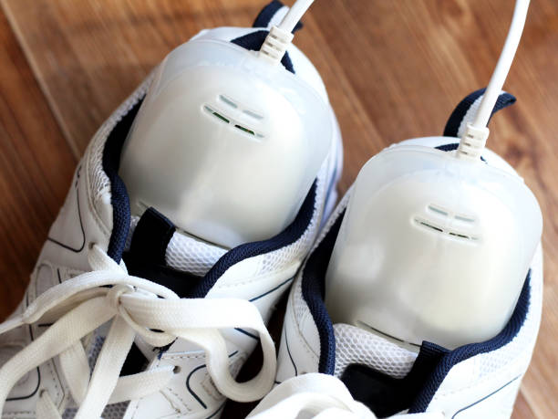 South Korea Shoe Deodorizer Market : Global Key Segments and Revenue Insights (2025-2035)
