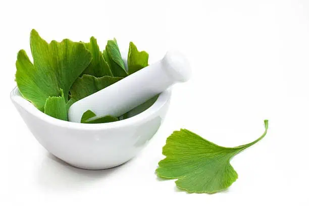 Singapore Ginkgo Biloba Extract Market Setting New Growth Cycle; Get 2025 Edition Now”