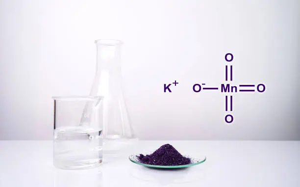 Potassium Methoxide Market Dynamics and Strategic Recommendations for 2025-2035