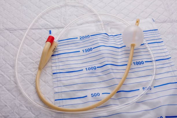 Japan Catheters Market Spotlight: Size, Share, and Growth Trends Explored through 2035
