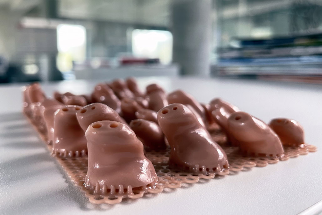 Image of Rapid Shape 3D printed Hearing Aid parts