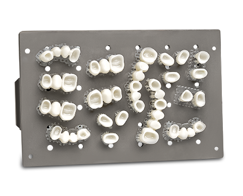 An array of dental crowns and bridges printed on the PRO 20's build platform
