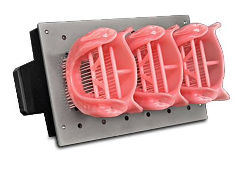 Three denture bases printed on the PRO 20’s build platform