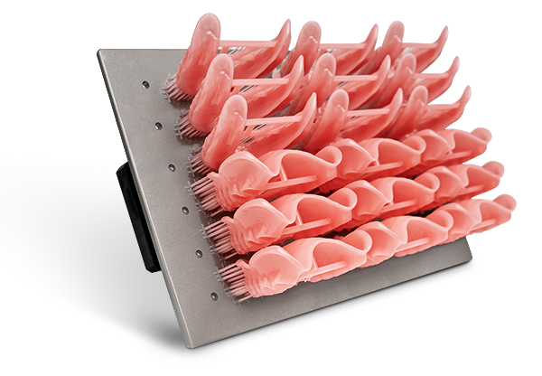 18 denture bases on the D50+ build platform